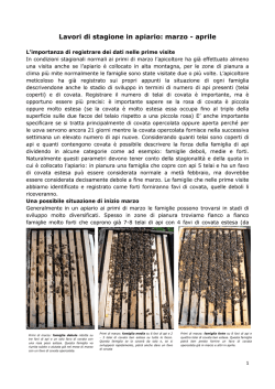 Situazione a inizio marzo. Pareggiamento o bilanciamento