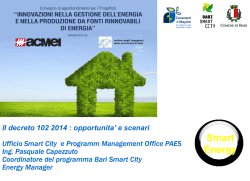 Slides Ing. Pasquale Capezzuto