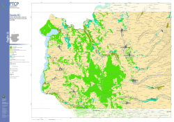 scarica foglio 11 - Sportello unico della Provincia di Foggia