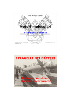 Motori molecolari - Scienze Ambientali a Ravenna