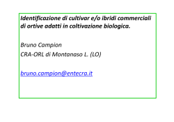 Varietà appropriate in agricoltura biologica (ortive) - CRA-SCS