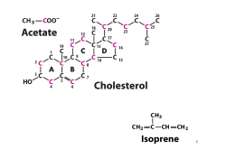 acido 3&alpha;, 7&alpha;-diidrossicolanico