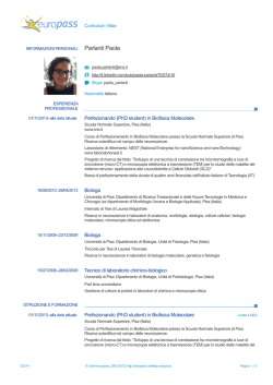 Curriculum Vitae - Scuola Normale Superiore