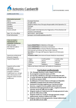 Curriculum professionale
