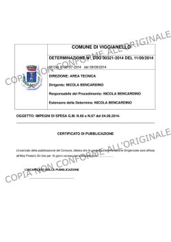 PAP 00538-2014 - Comune di Viggianello