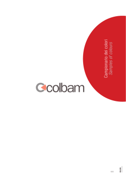 C am pionario dei colori Sam ples of colours