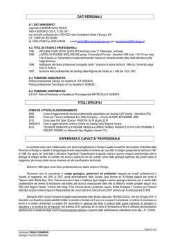 Scarica curriculum del consulente