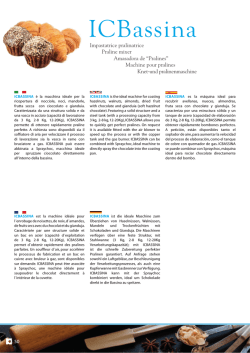 ICBassina - tpconsulting.sk