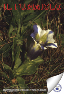 fumaiolo 2014 ott-gen