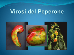 Clicca qui - Orto Carmagnola