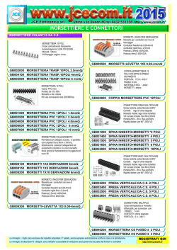 MORSETTIERE E CONNETTORI