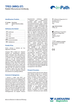 TFE3 (MRQ-37) - Menarini Diagnostics