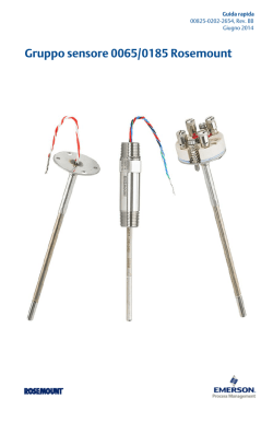 Gruppo sensore 0065/0185 Rosemount