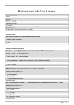 534466_TOEE029005_346- QUESTIONARIO INVALSI