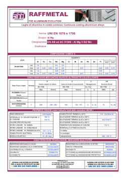 Sc. tecnica - Raffmetal
