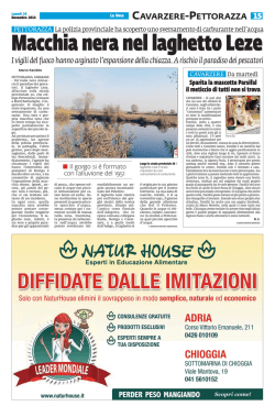 PETTORAZZA - Cavarzere