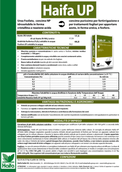 A.M.P. - FIDAL Pavia