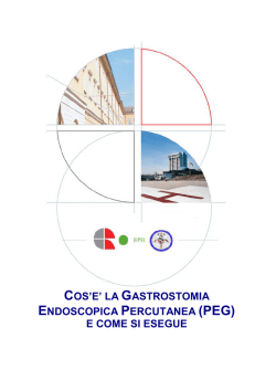 Calendario aperture Leolandia