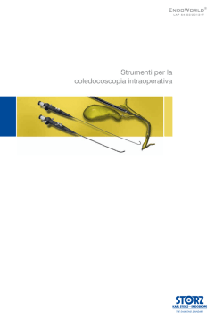 Strumenti per la coledocoscopia intraoperativa