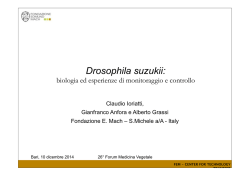 Drosophila suzukii
