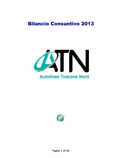 Bilancio Atn Srl 2013