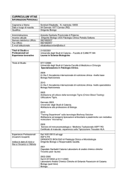 curriculum vitae
