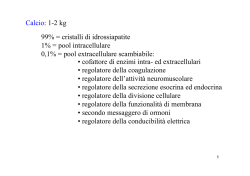 • cofattore di enzimi intra- ed extracellulari • regolatore della