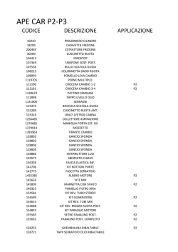 APE CAR P2-P3 - Teruzzi moto