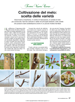 Coltivazione del melo_la scelta