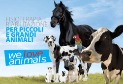 fisioterapia e riabilitazione per piccoli e grandi animali