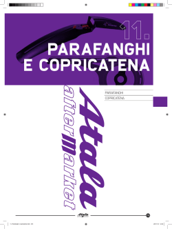 Parafanghi e copri catena