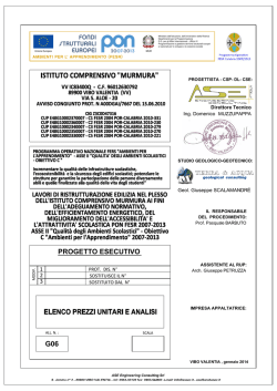 PROGETTO ESECUTIVO G06 - Provincia di Vibo Valentia
