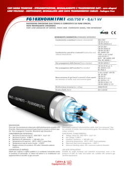 FG10XHOHM1FM1 450/750 V