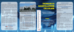BROCHURE 2014 - HealthData Consulting