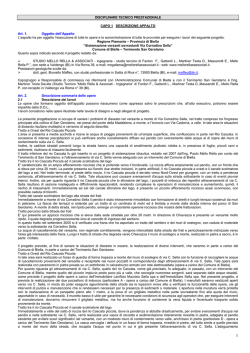 DISCIPLINARE TECNICO PRESTAZIONALE