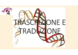 genetica 3 trascrizione e traduzione