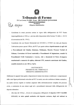 processo civile telematico - linee guida