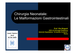1) Vito BRIGANTI - Azienda Ospedaliera S.Camillo