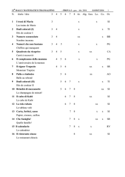 MOD&Egrave;LE POUR LA MISE EN PAGE DES PROBL&Egrave;MES DU RMT
