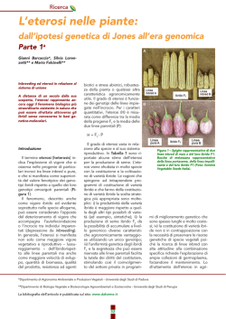 Eterosi_dalSeme #1 - Gianni Barcaccia Laboratory