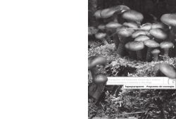 Tagungsprogramm_Programma del convegno