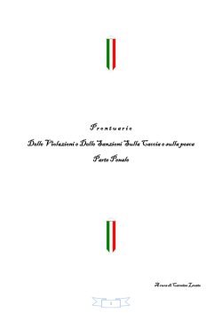 Prontuario Delle Violazioni e Delle Sanzioni
