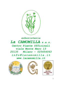 Manuale sugli alimenti antiossidanti e mangiare sano