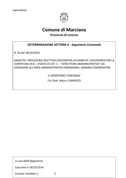 2014SETTORE-60050D_nomina commissione