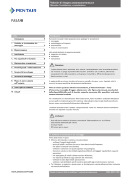 Fasani Check Valves, Bolted Bonnet (check)