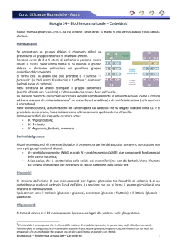 Biologia 14 - Biochimica strutturale