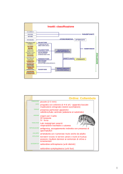 07_Insetti dannosi_2014-2015_1 di 4 [modalit&agrave; compatibilit&agrave;]