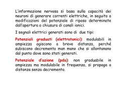Potenziale di azione 2014