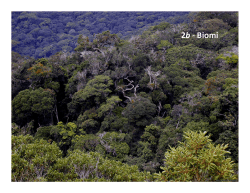 (Microsoft PowerPoint - 02b - Biomi.ppt [modalit\340