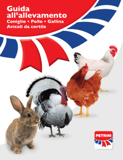 La qualit&agrave; della carne di coniglio